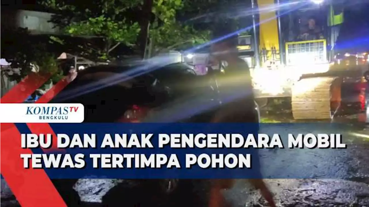 Ibu dan Anak Pengendara Mobil Tewas Tertimpa Pohon