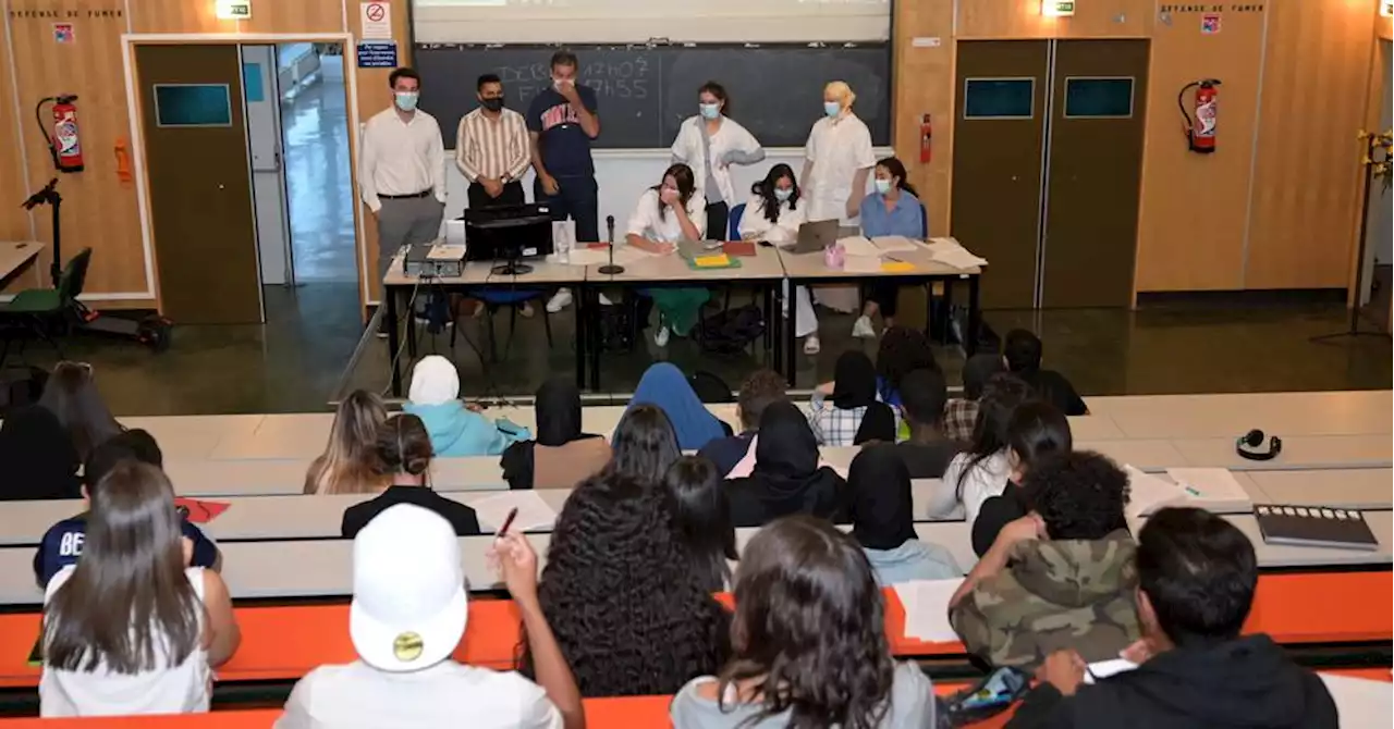 Marseille : l'écurie solidaire de médecine, lauréate de la Fondation Crédit coopératif