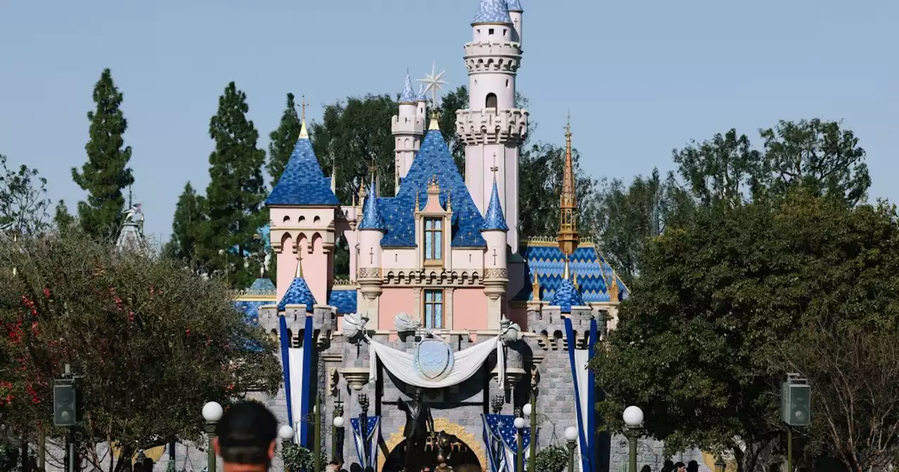 Disneyland's Nutmeg has died. Toast the feral feline with eponymous cocktail