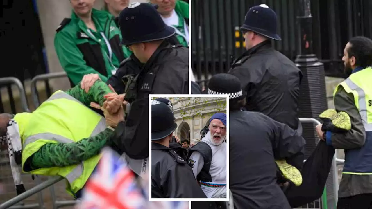 'Fake steward' plot to disrupt Coronation smashed as activists planned paint ambush - as police defend crackdown