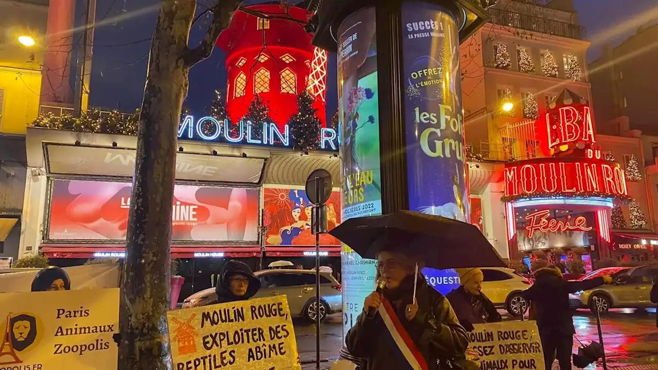 Le Moulin Rouge arrête immédiatement son numéro contesté avec des serpents