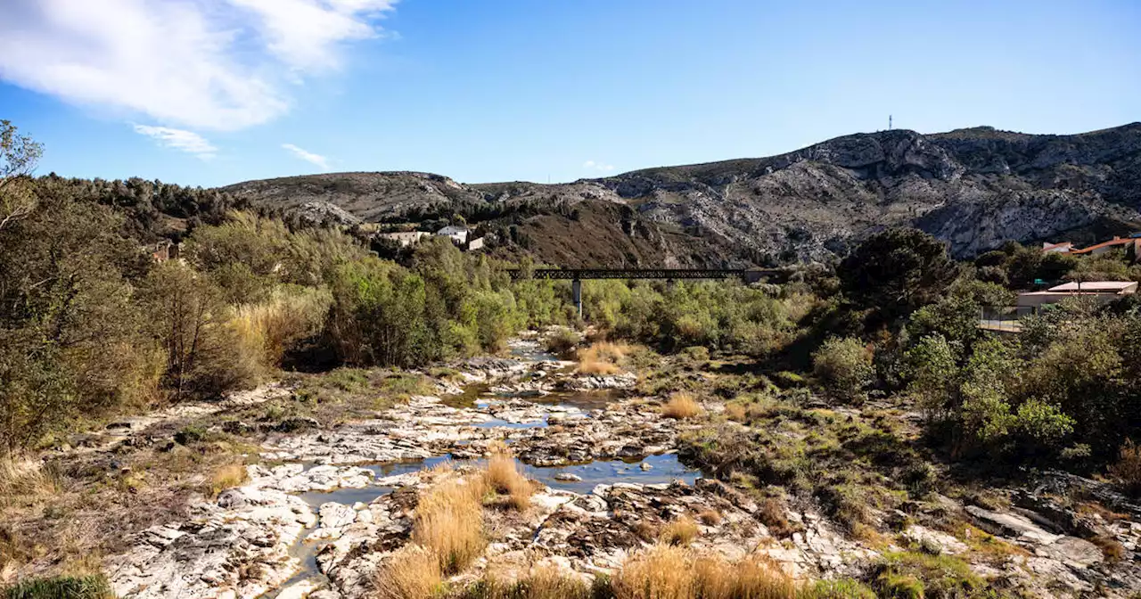 Sécheresse : dans les Pyrénées-Orientales en crise, l’irrigation restreinte mais pas interdite