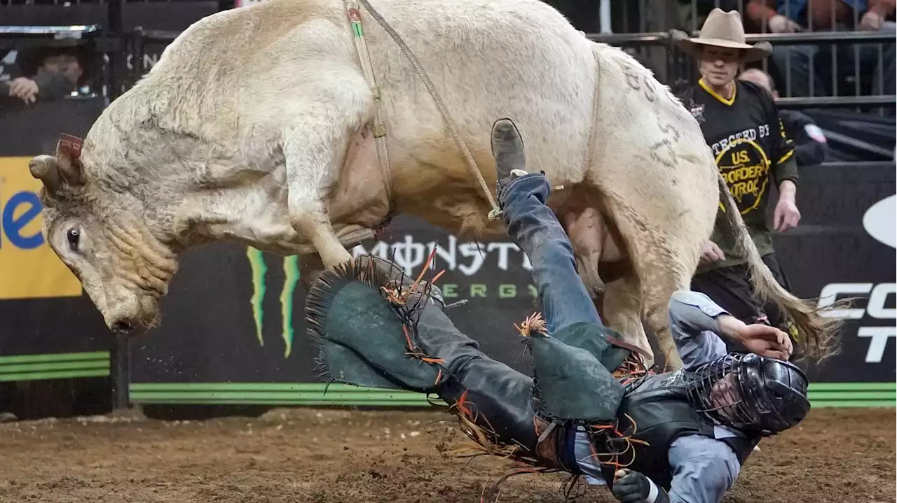 Meet the cowboys bringing bull riding --- and 750 tons of dirt --- to a city near you