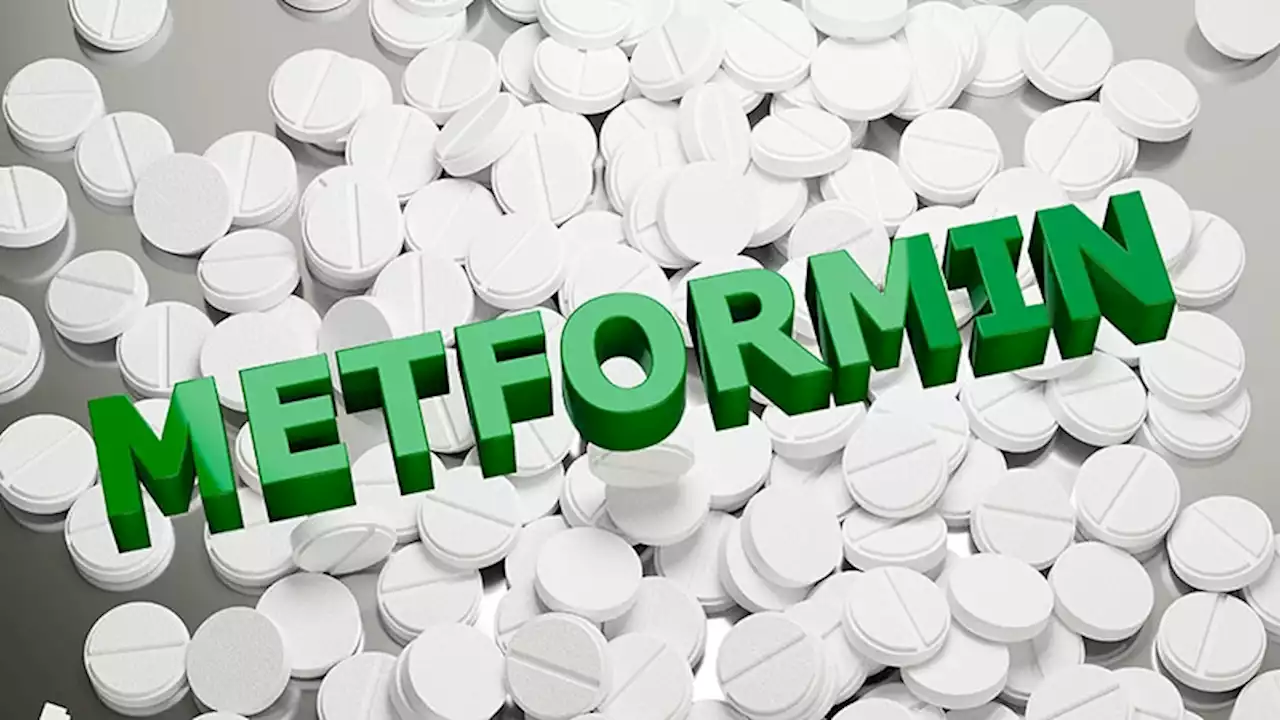 Metformin Ups Myocardial Perfusion and Survival in T2D