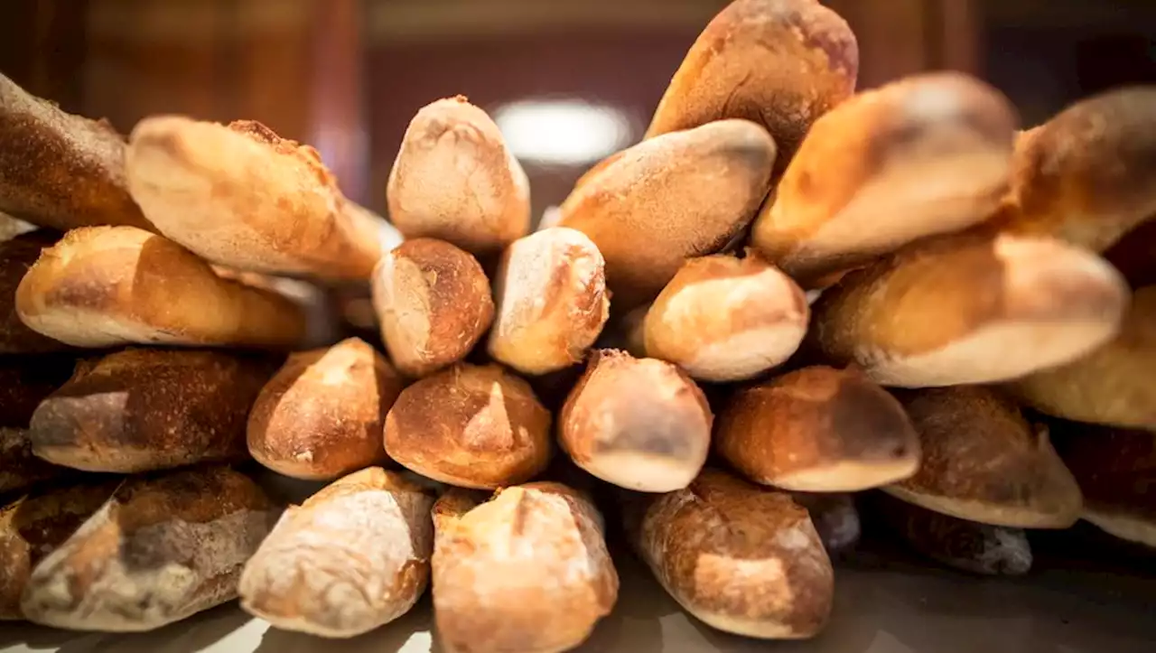 Paul, Marie-Blachère... Quelles sont les meilleures et les pires chaînes de boulangerie ?