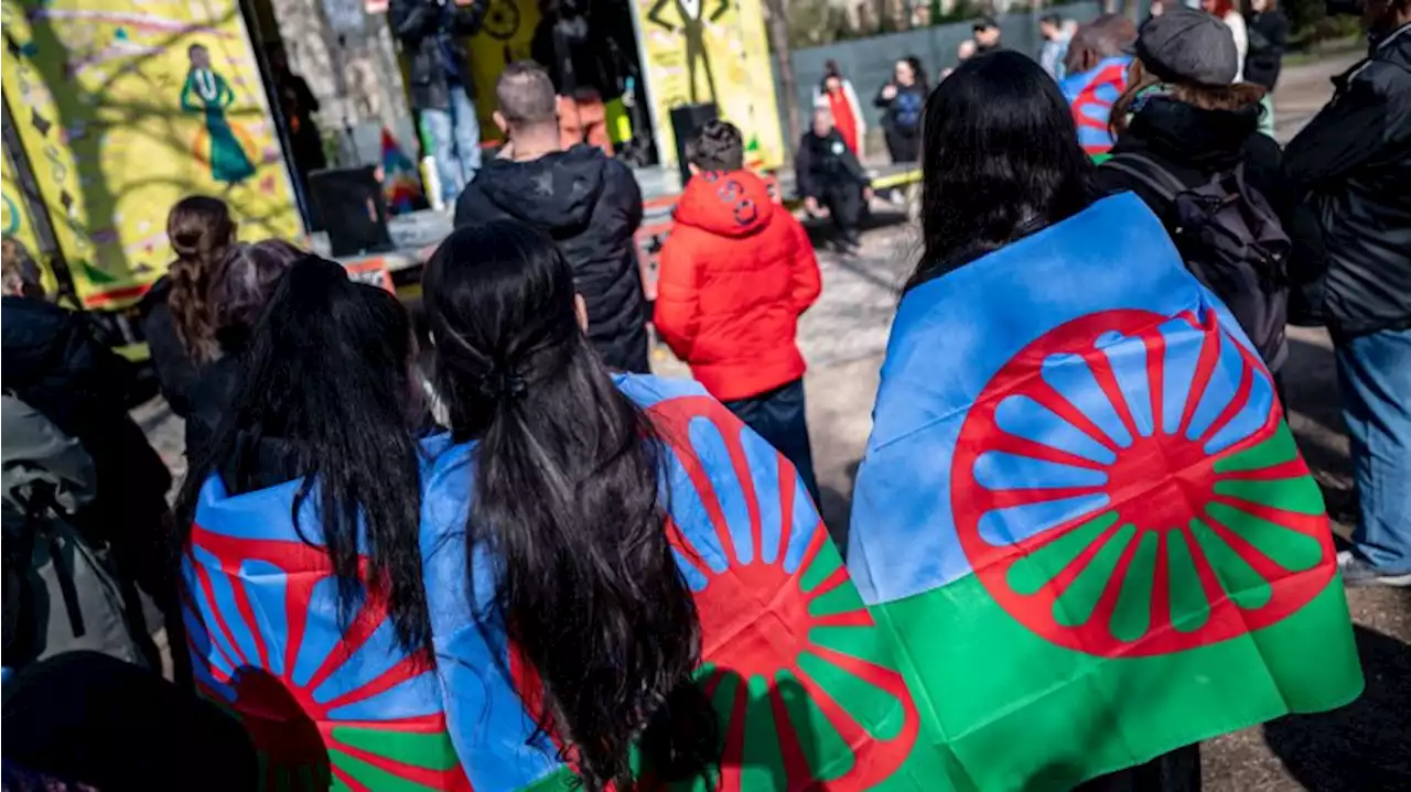 Romani Rose: Brandenburg vorbildlich für Minderheitenpolitik