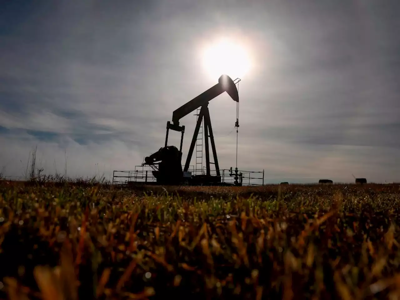 Colby Cosh: Using Alberta’s oil money to keep taxes low the morally correct thing to do
