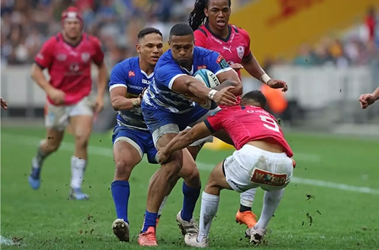 Cheery Stormers unperturbed by CT Stadium pitch being on 'last legs': 'Seen the worst of it' | Sport