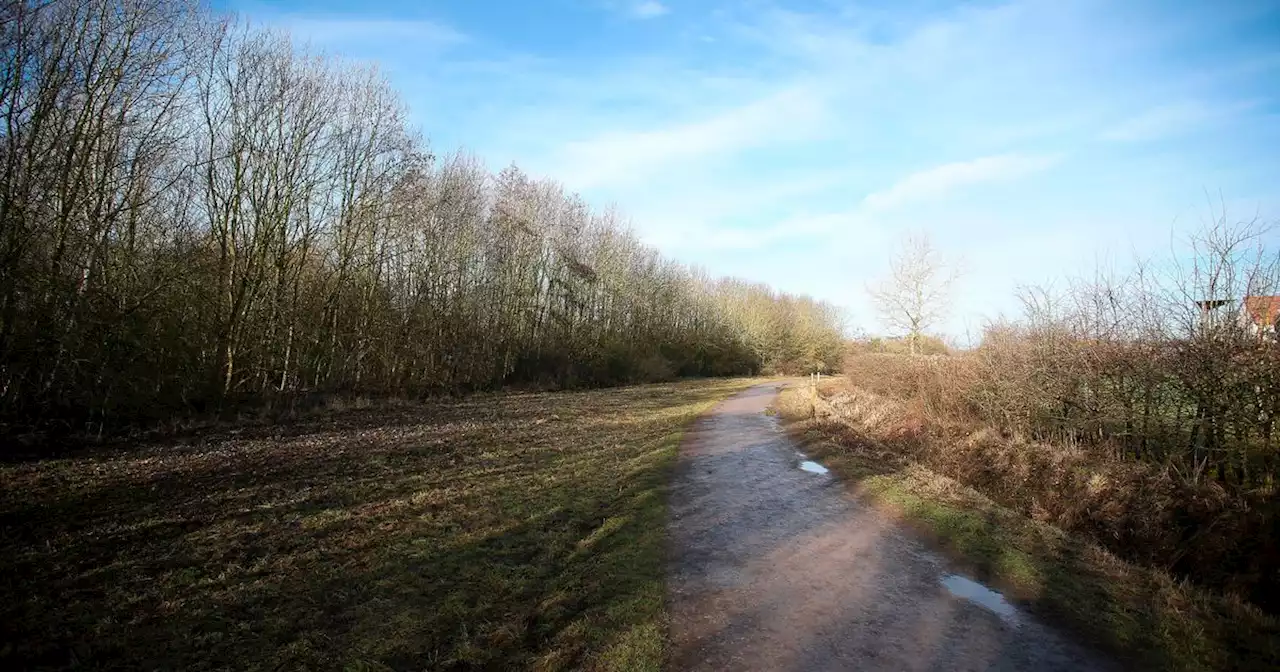 Police warning after men 'fishing illegally' at country park