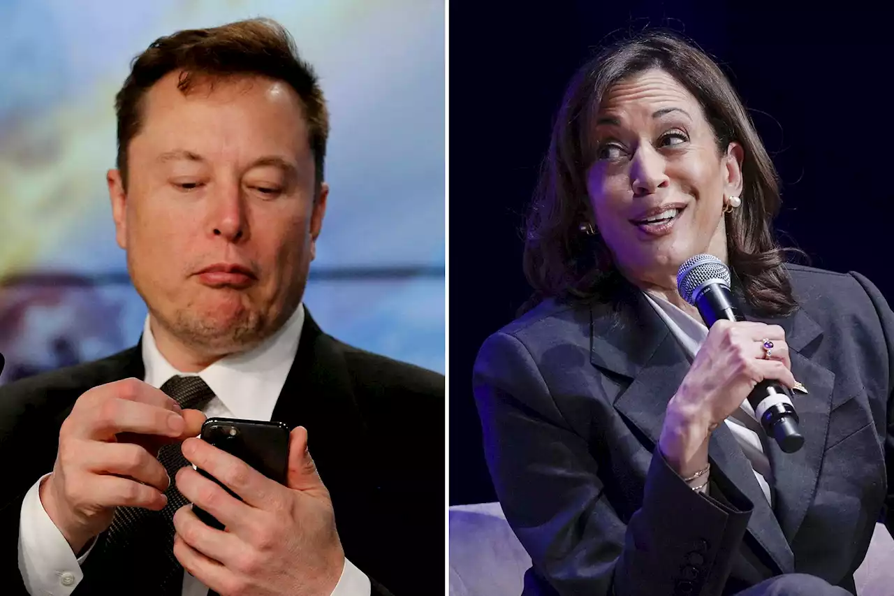 Elon Musk mocks Kamala Harris’ AI czar role: ‘Maybe someone who can fix their own WiFi router’