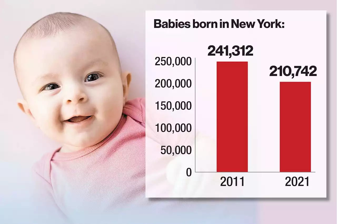 New York’s birth rate declines amid population exodus: report