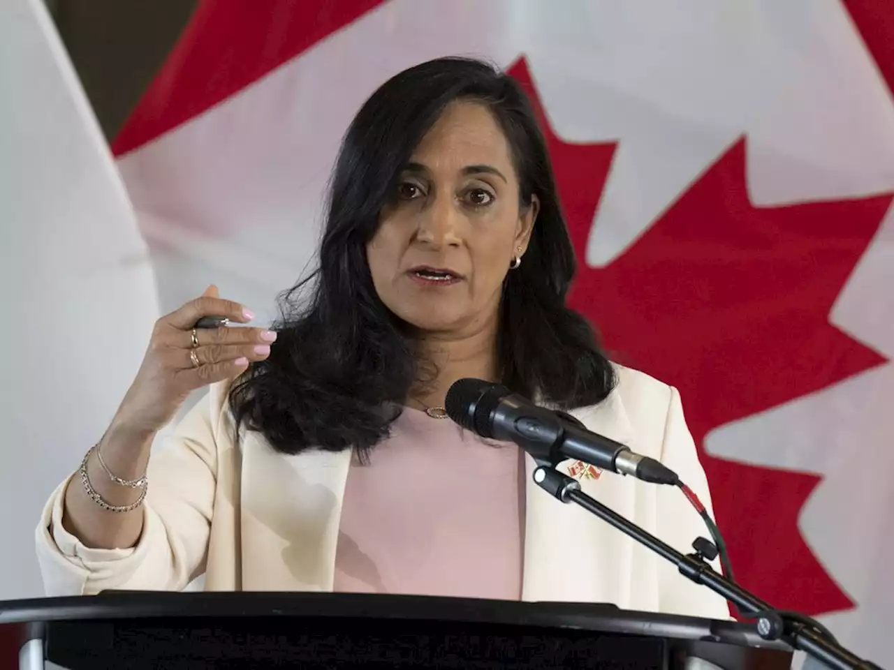 Defence minister says Canada wants to share advanced military technology with allies