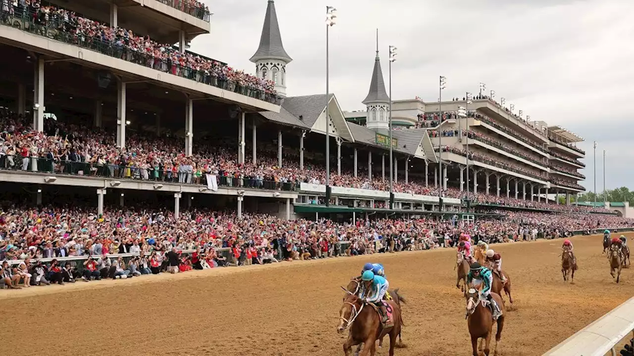 Misterio por la muerte de 7 caballos en el Kentucky Derby de EEUU | 'Campo de muerte', acusaron desde la organización PETA