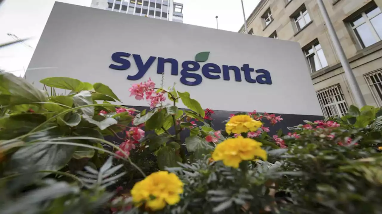 Syngenta se despegó de Antonio Aracre y anunció que analizará 'diferencias técnicas' con la Aduana