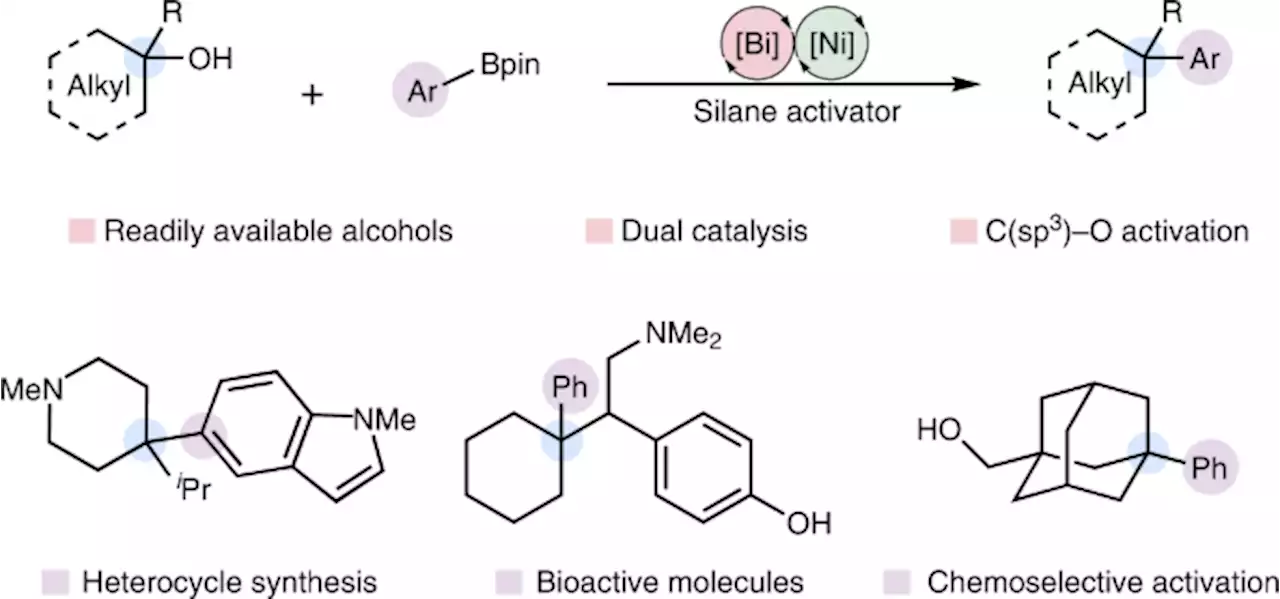 Deoxygenative Suzuki–Miyaura arylation of tertiary alcohols through silyl ethers - Nature Synthesis