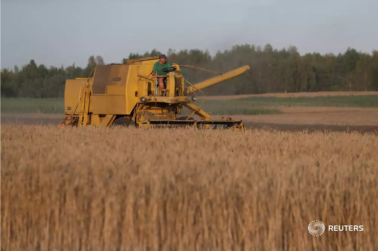 Why eastern Europe's grain producers face a perfect storm