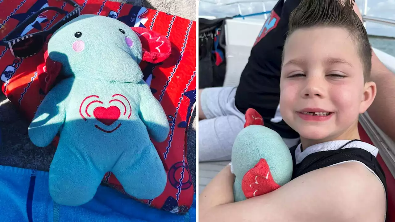 Family lose toy elephant with son's ashes inside on Disney trip