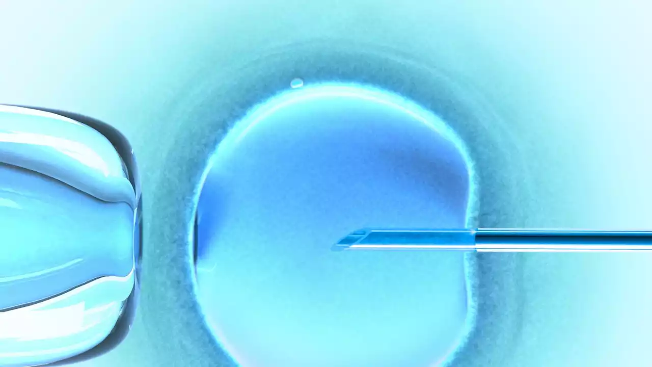 UK's first 'three-parent baby' born after IVF procedure