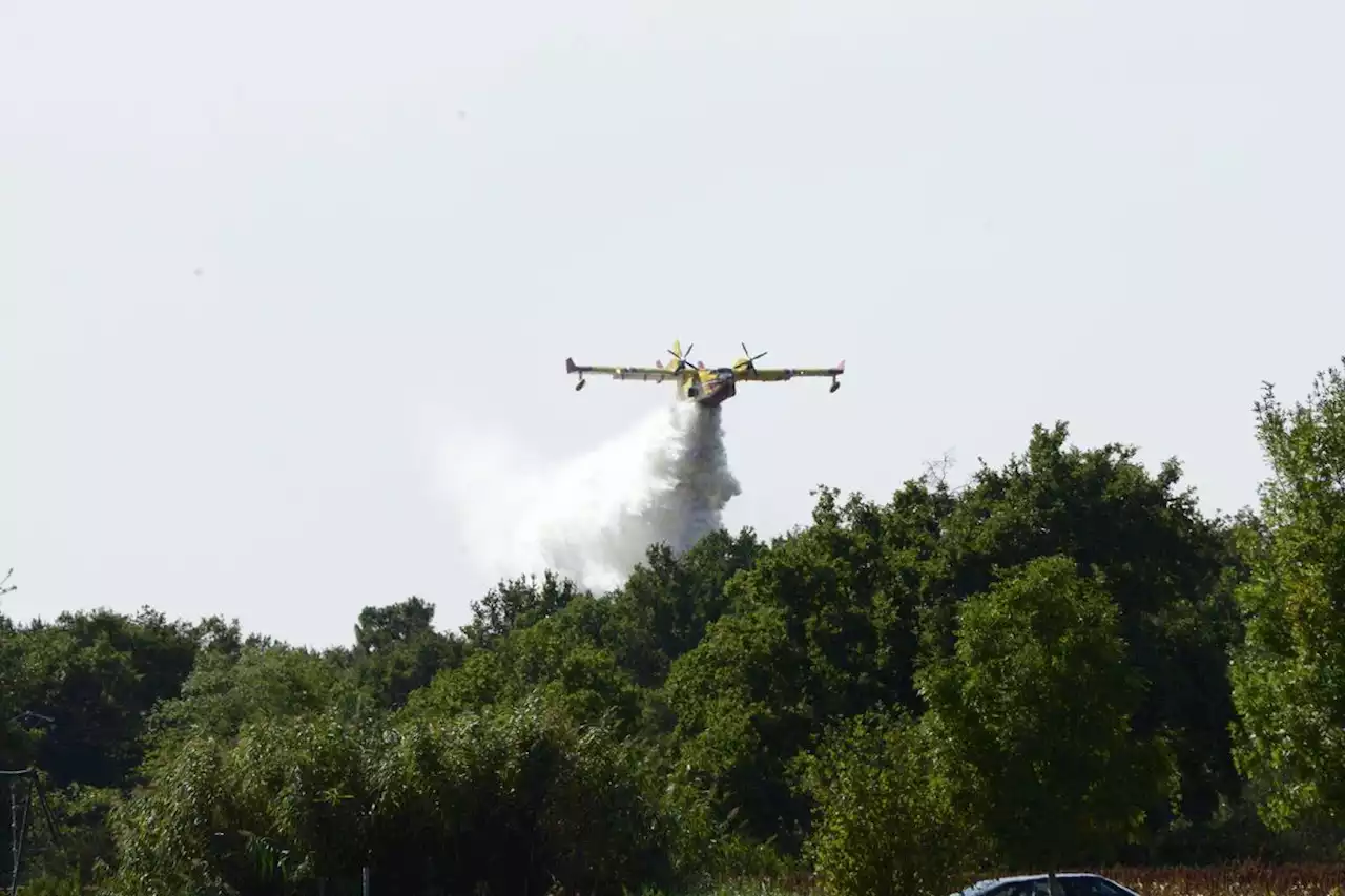 Nouvel incendie dans les Pyrénées-Orientales : 30 hectares détruits, le feu est fixé