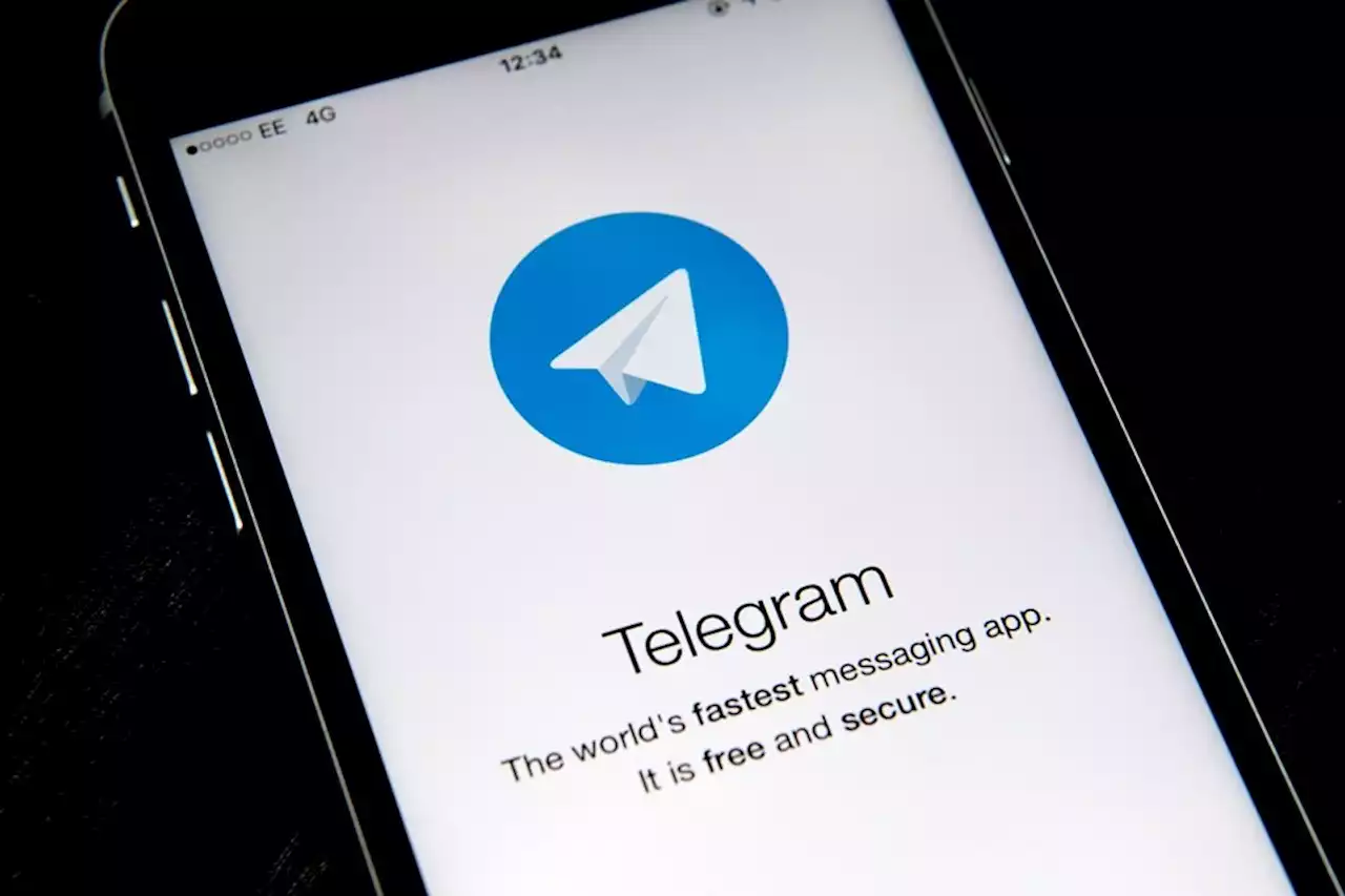 Telegram ataca PL 2630 enviando mensagem a usuários e pode sofrer sanções