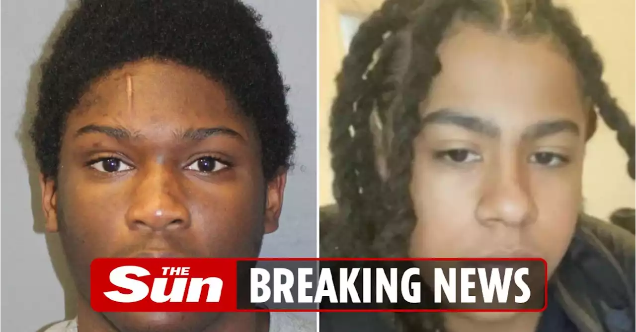 Terrifying moment teen, 17, brandishes sword before knifing boy, 14, to death