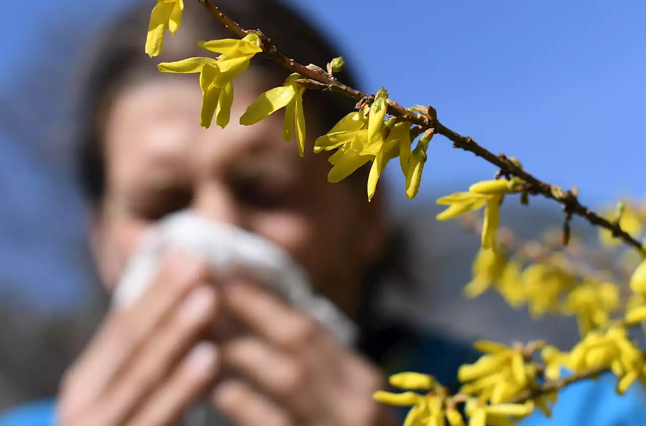 Why Allergy Seasons Are Getting Worse