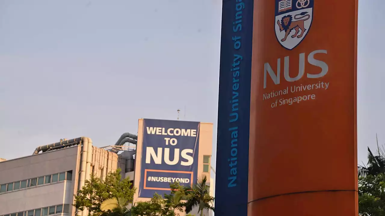 3 victims of New Zealand crash were NUS undergraduates, university ‘deeply saddened’ by fatal accident