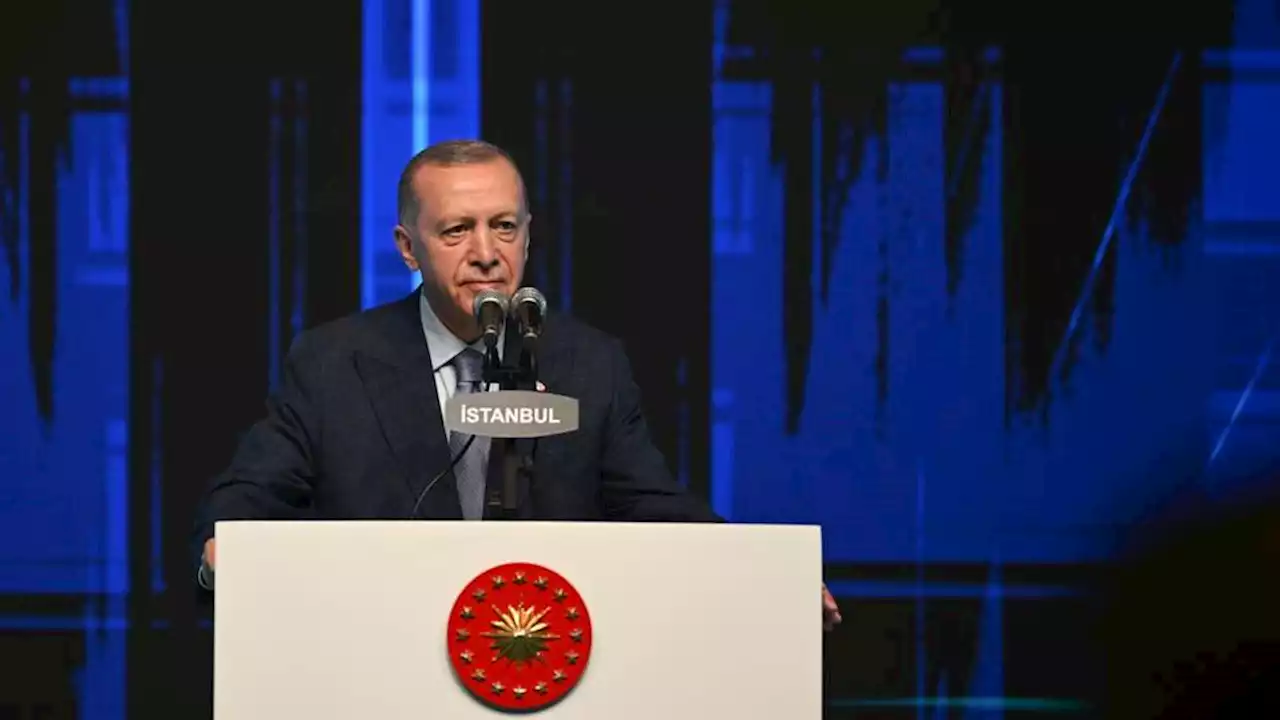 Erdogan: Türkiye ready to host talks for Sudan