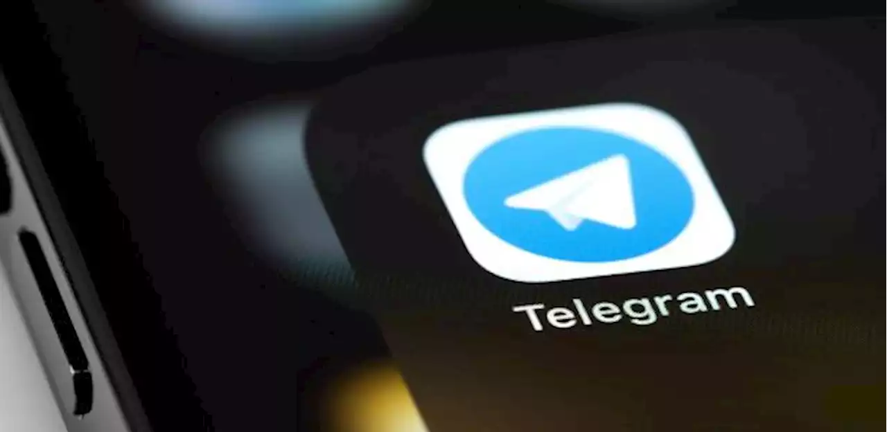 Leonardo Sakamoto - Telegram espalha terror sobre PL das Fake News e desce mais que o Google