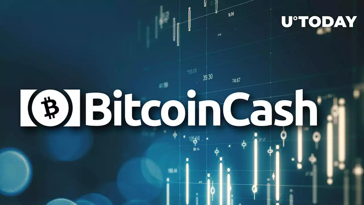 Bitcoin Cash (BCH) up 8%, Is This Growth Connected to Bitcoin?