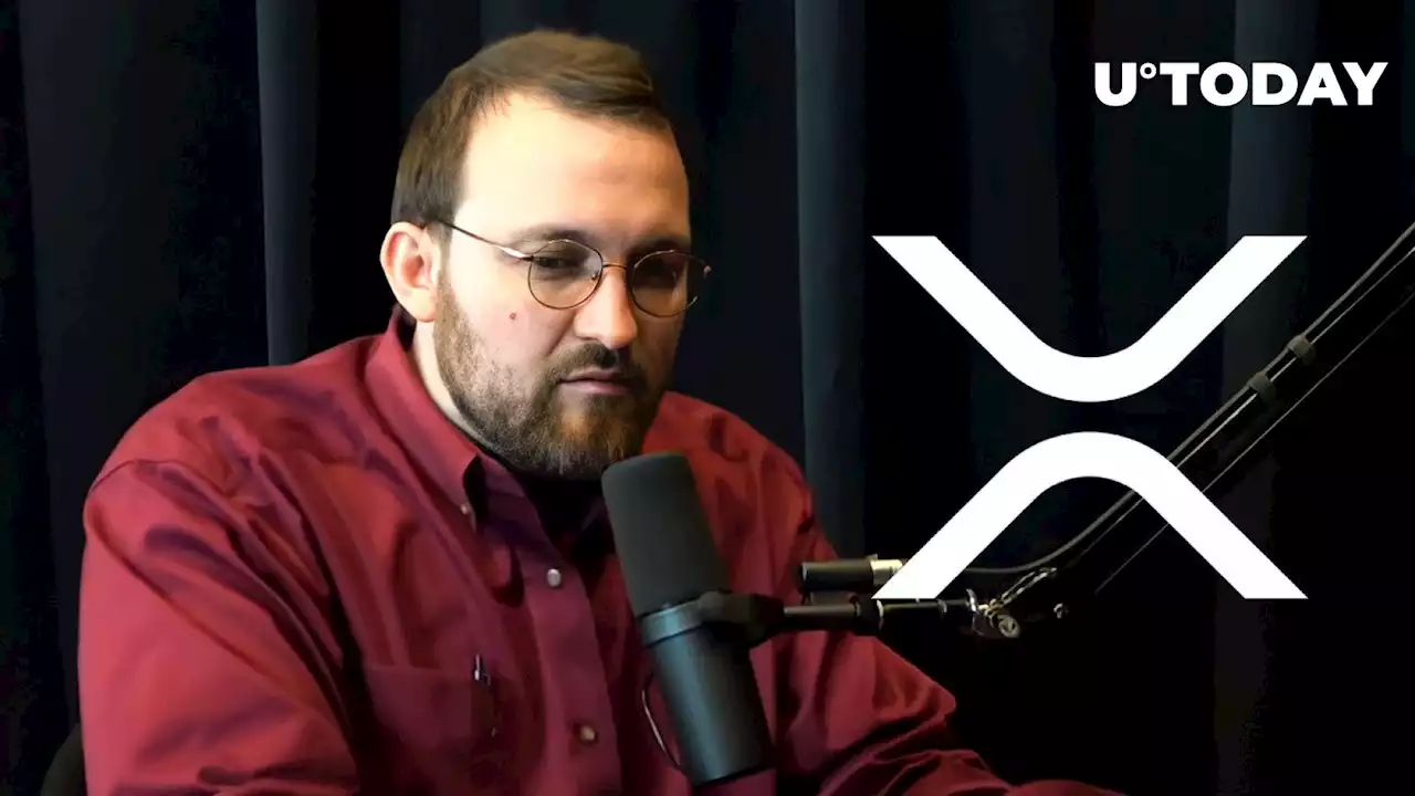 Cardano Founder Says XRP Community Mocks and Hates Him