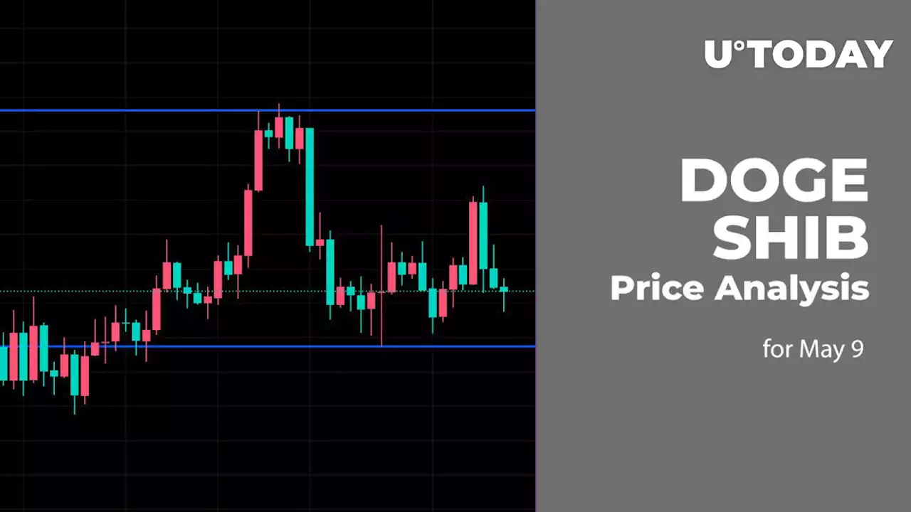 DOGE and SHIB Price Analysis for May 9