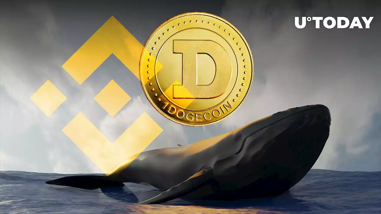 Whale Sends 300 Million DOGE to Binance, Price Down 6%