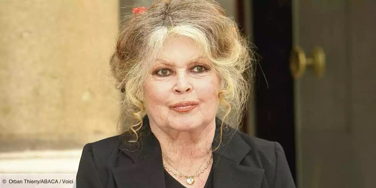 Brigitte Bardot : pourquoi elle ne regardera pas la série sur sa vie sur France 2 - Voici