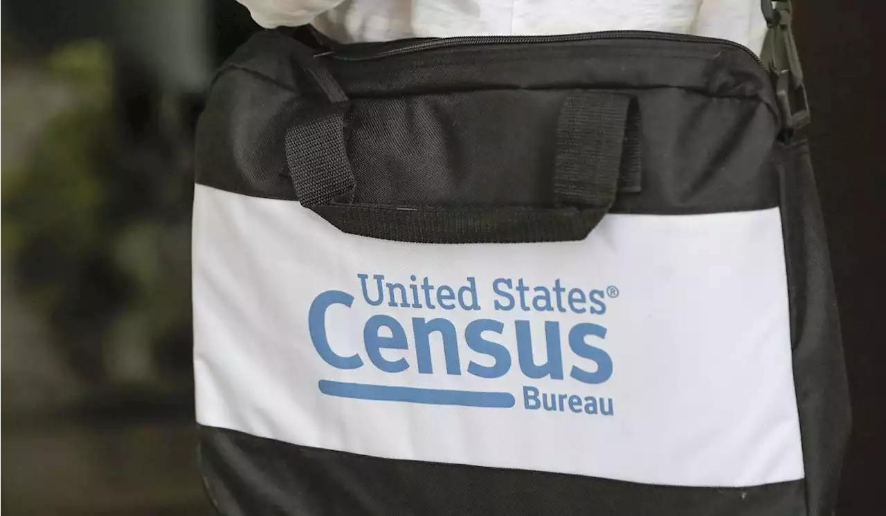 Simulation suggests 2020 census missed many noncitizens