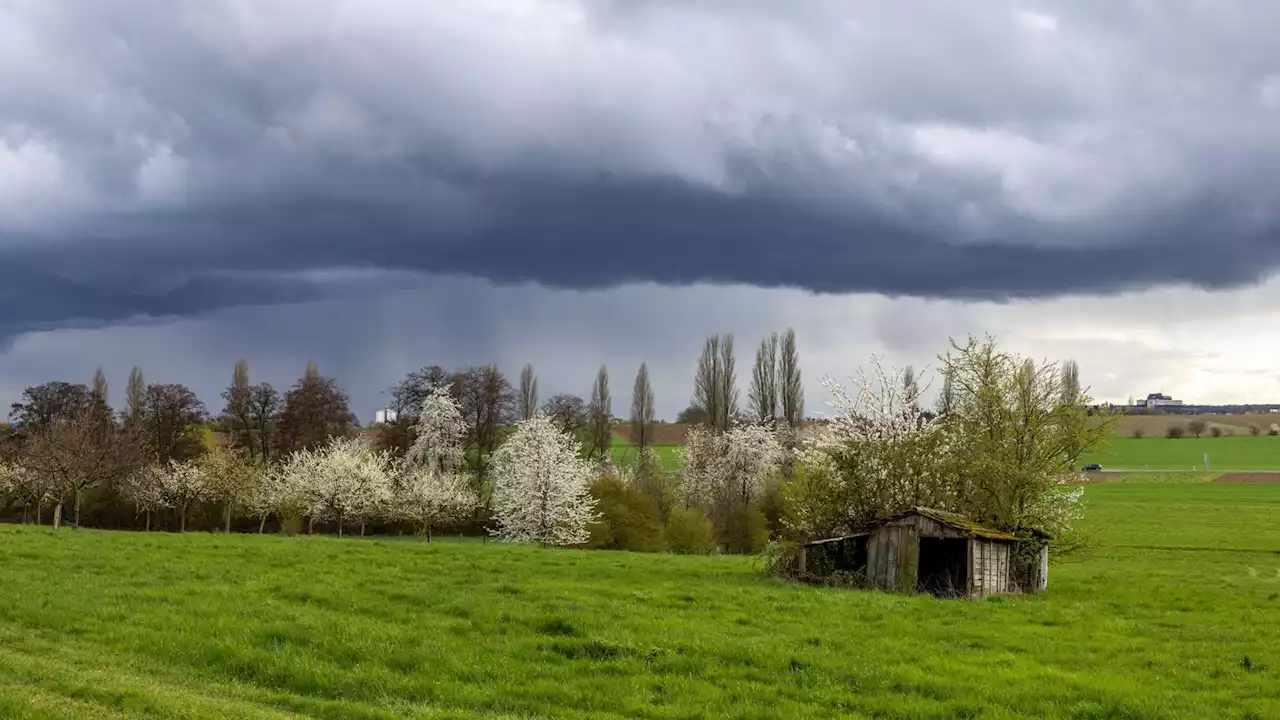 Viel Regen in NRW: Ist die Dürregefahr schon gebannt?