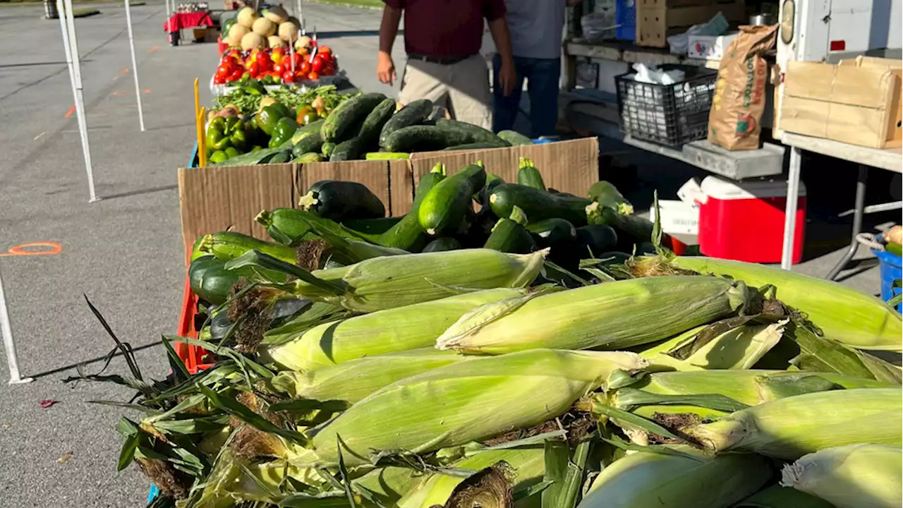 Farmers market opens for season Thursday at Greece Ridge mall