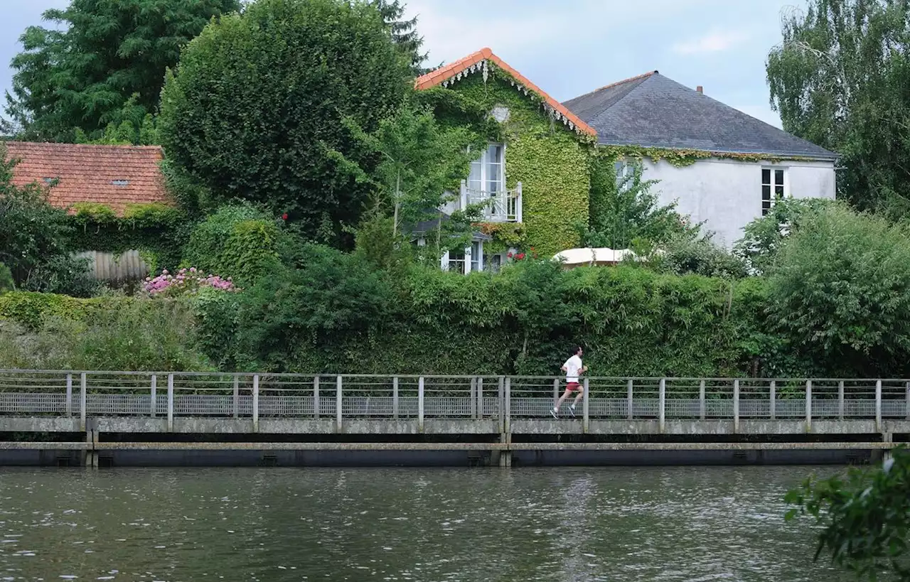 Résultat « rassurants » après la pollution au fongicide en Loire-Atlantique