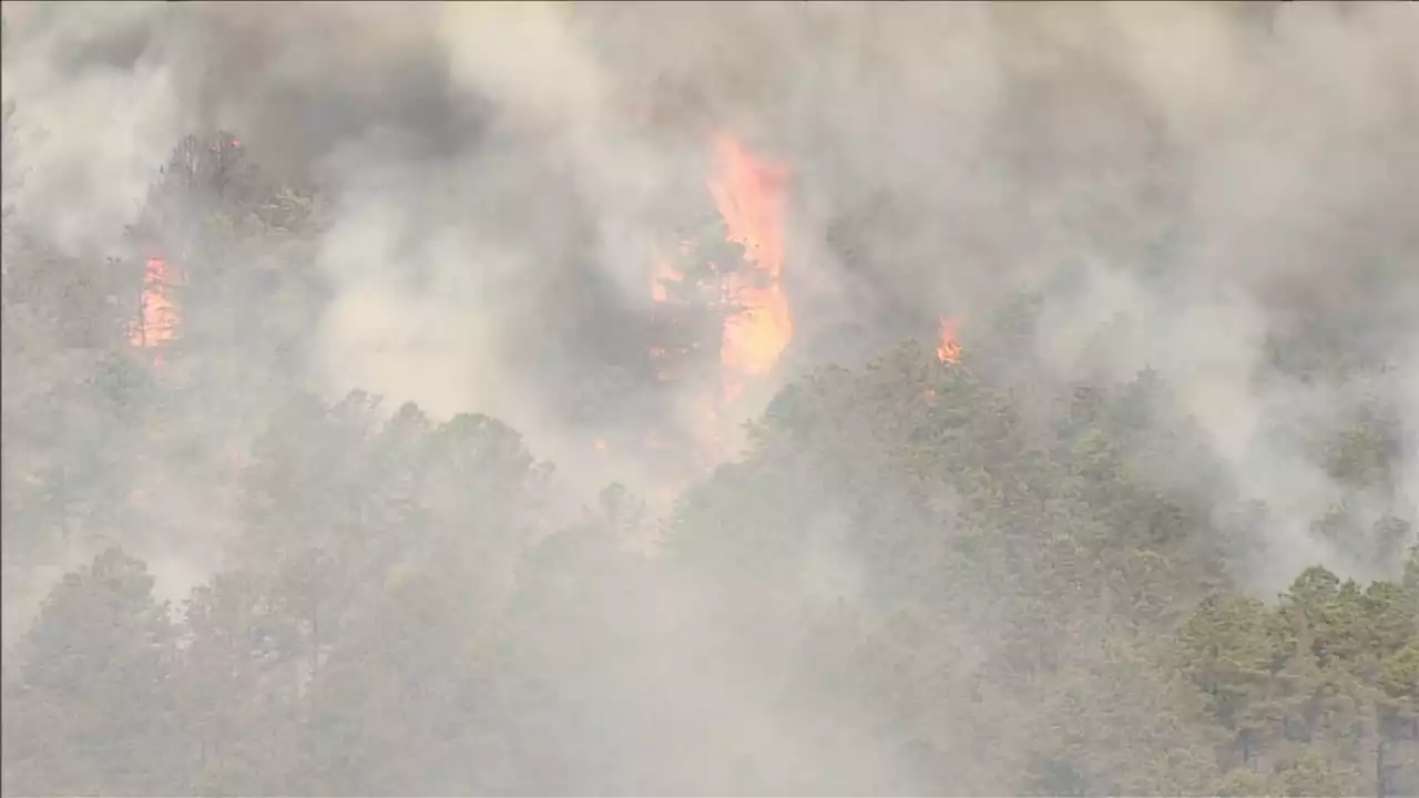 Crews battle forest fire in Burlington County, New Jersey; Blaze is 10% contained