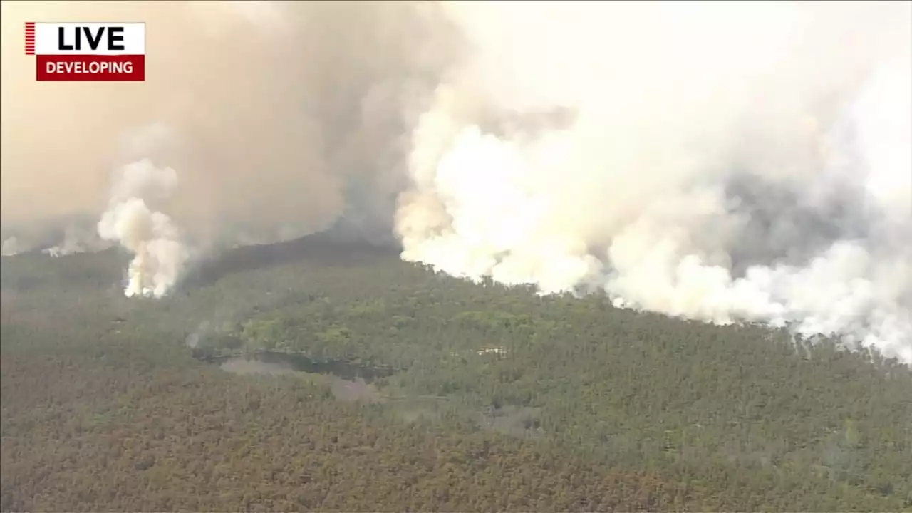 Burlington County, New Jersey wildfire grows to 3,100 acres; Blaze is 15% contained