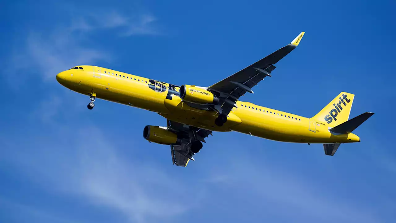 Spirit Airlines reports technical issue with website, app, kiosks