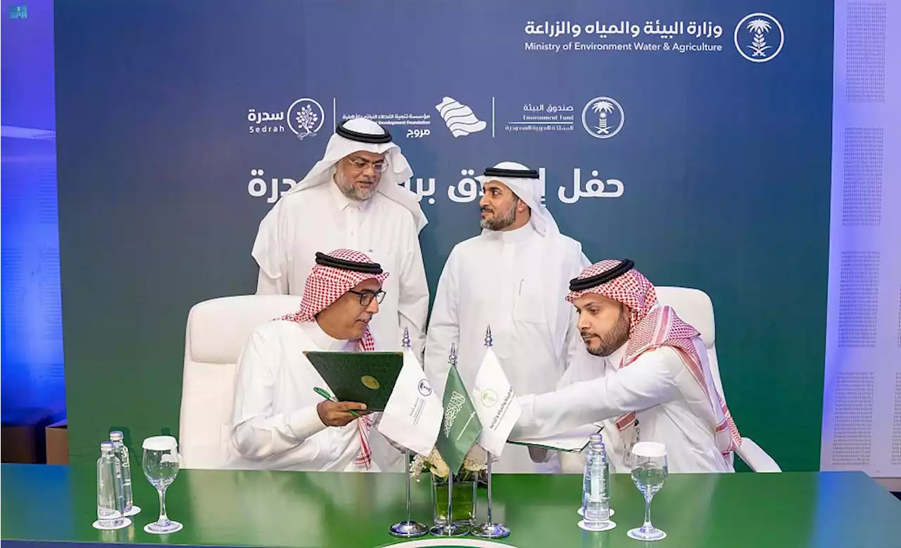 نائب وزير البيئة يُطلق برنامج “سدرة” لتنمية الابتكار وريادة الأعمال