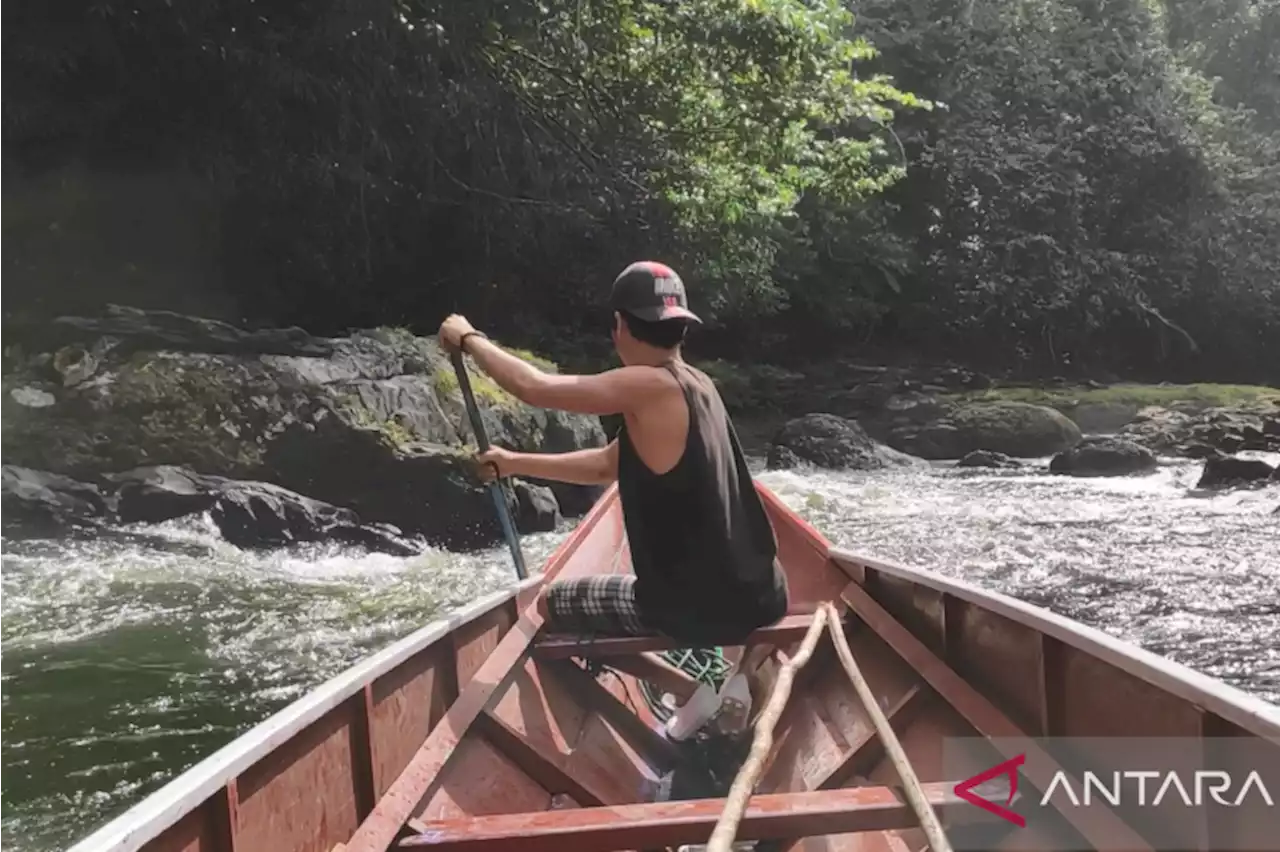 Belajar kearifan lokal dari masyarakat Punan di rimba Kaltara