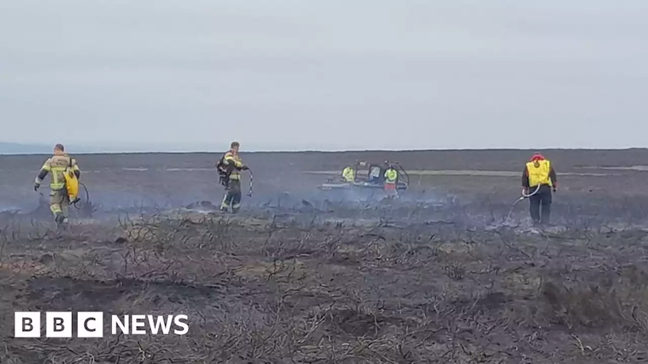 Majority of Sheffield Lady Cannings Plantation woodland fire extinguished