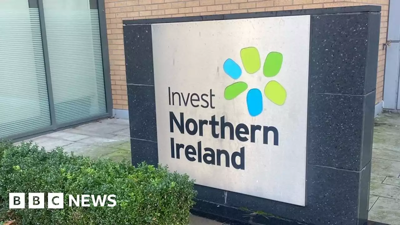 Invest NI-backed firms increased employment levels in 2022