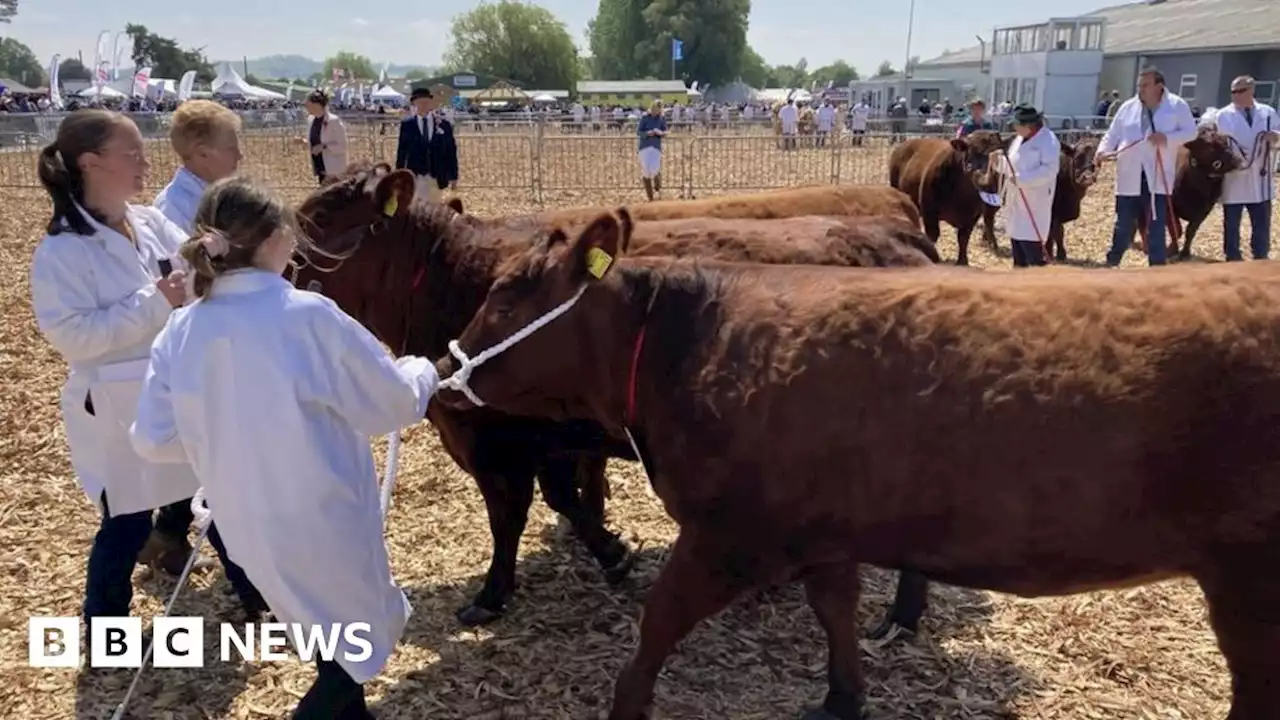 Spectators flock to Royal Bath and West Show