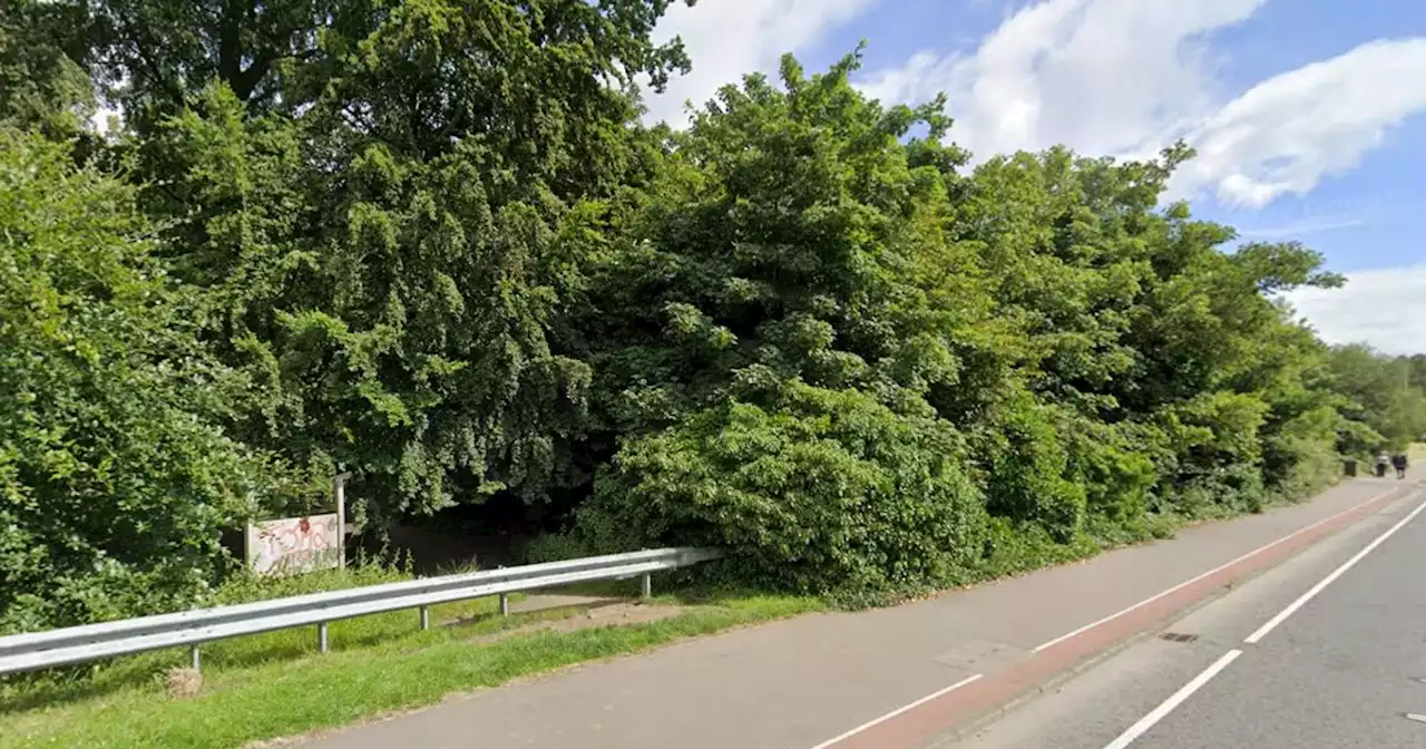 Man tries to remove woman's clothing in sexual assault in Co Antrim woods