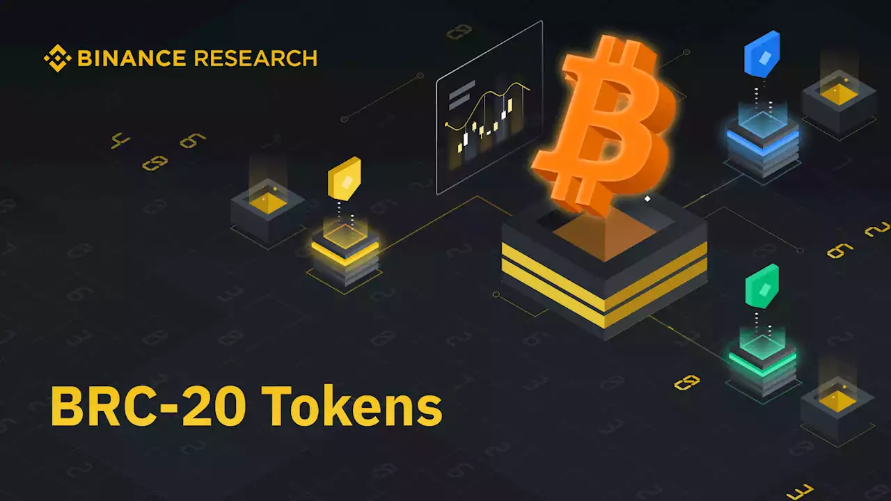 Binance Research: Investigating the Rise of BRC-20 | Binance Blog