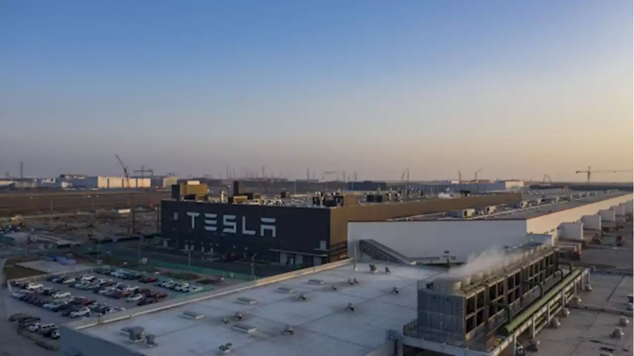 Tesla plans to showcase updated Model 3 with Musk in Shanghai - BNN Bloomberg