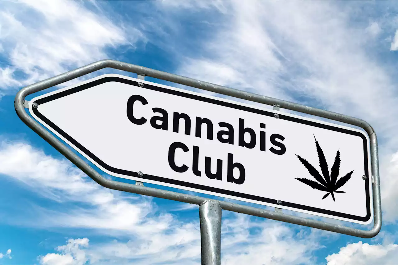 Vor Legalisierung: Regelrechter Boom an Cannabis-Clubs